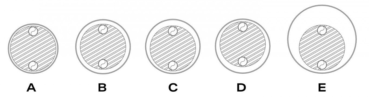 Configure the shell around the process